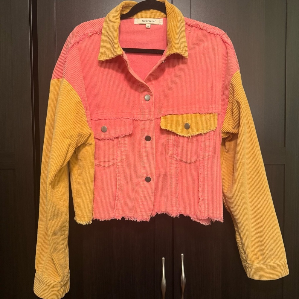 Blue Velvet Colorblock Corduroy Cropped Jacket — Size L, Never Worn
